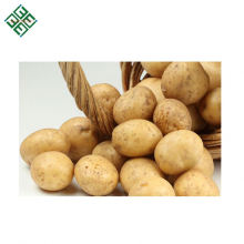 New Corps export originated fresh Potato